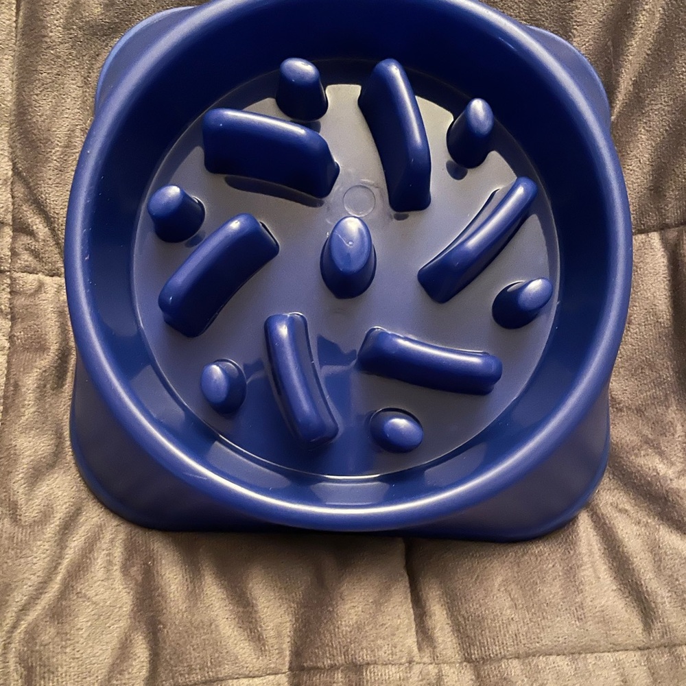 Slow feeder maze dog bowl